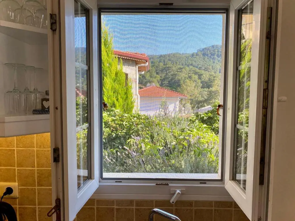 View from kitchen